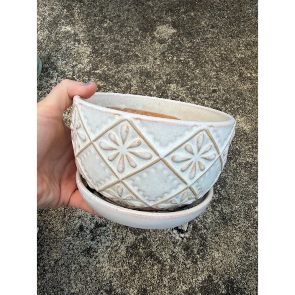 Allen + Roth Ceramic Planter White Tan Embossed Floral Round Pot with Saucer
